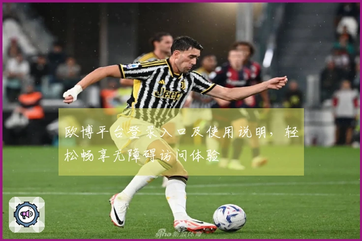 欧博平台登录入口及使用说明，轻松畅享无障碍访问体验