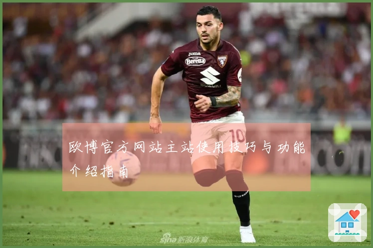 欧博官方网站主站使用技巧与功能介绍指南