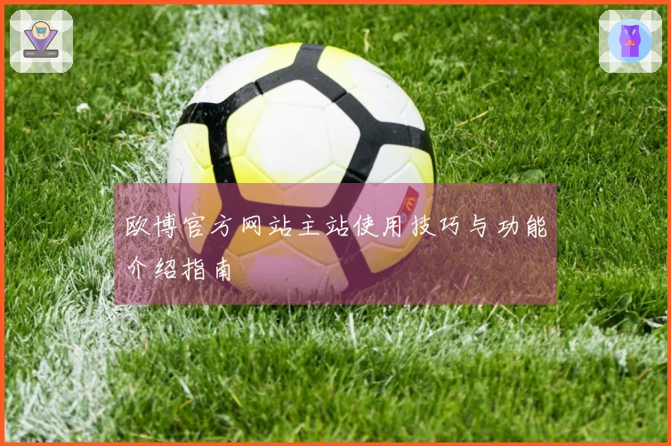 欧博官方网站主站使用技巧与功能介绍指南