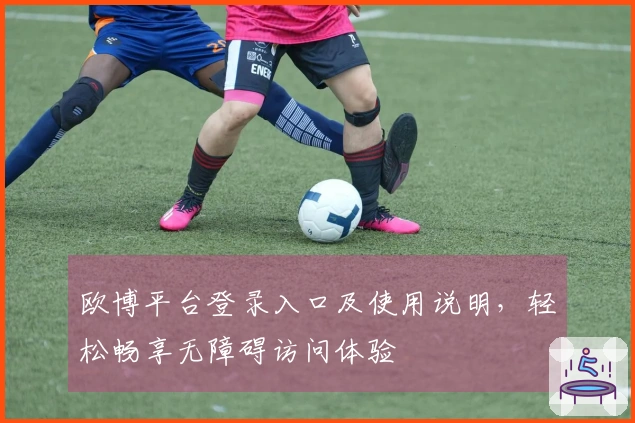 欧博平台登录入口及使用说明，轻松畅享无障碍访问体验